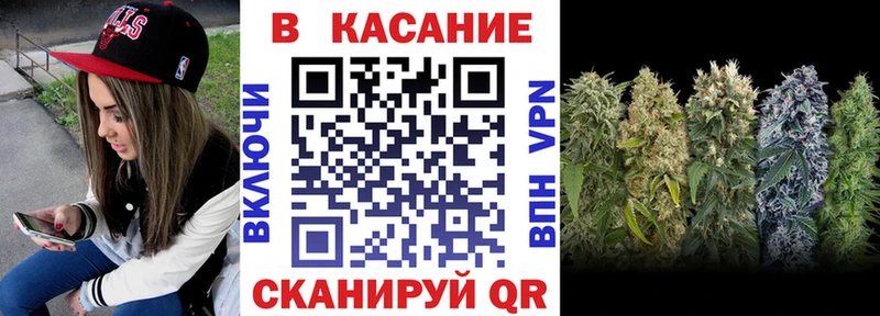 ГАШ Зубцов