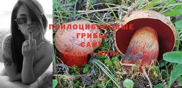 a pvp Вязьма