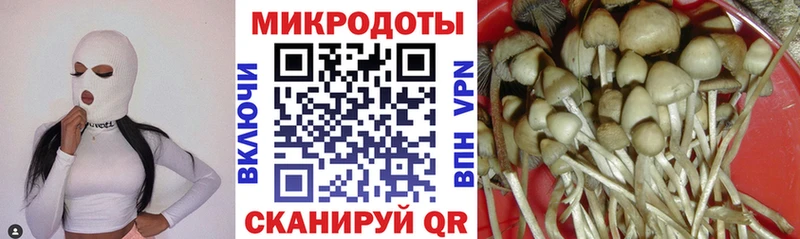 Псилоцибиновые грибы MAGIC MUSHROOMS  omg маркетплейс  Зубцов 